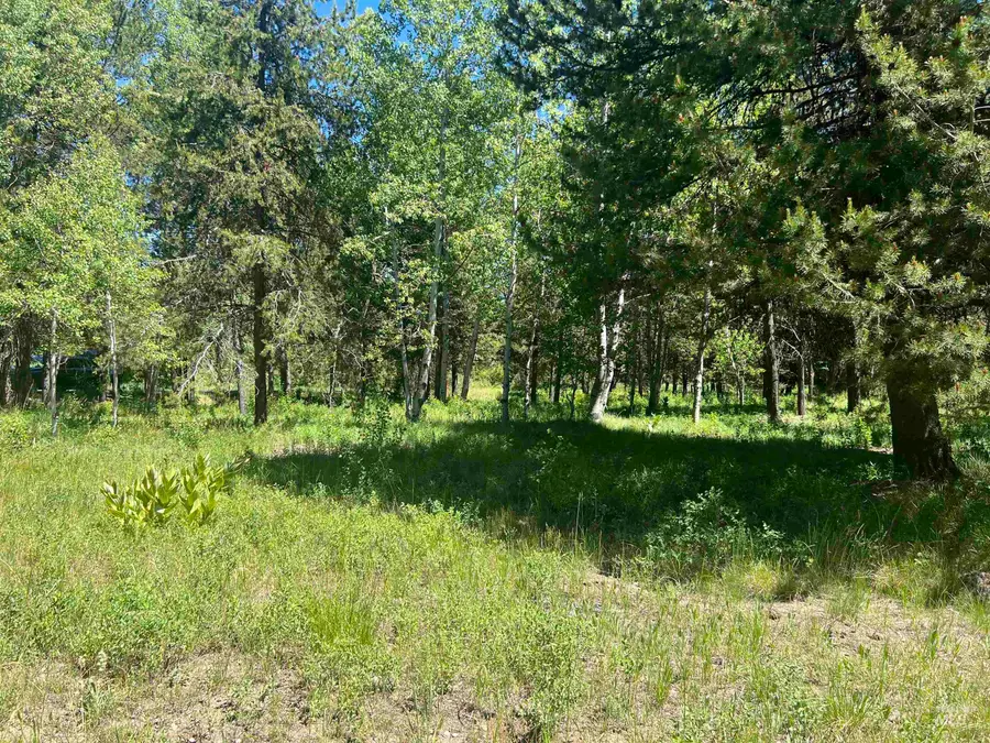 Lot 1 Chad Drive, McCall, ID 83638 - #3
