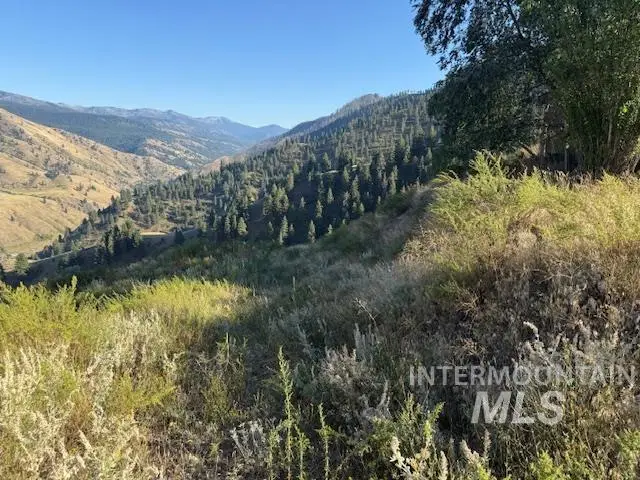 144 Chukar Run, Pollock, ID 83547 - #2
