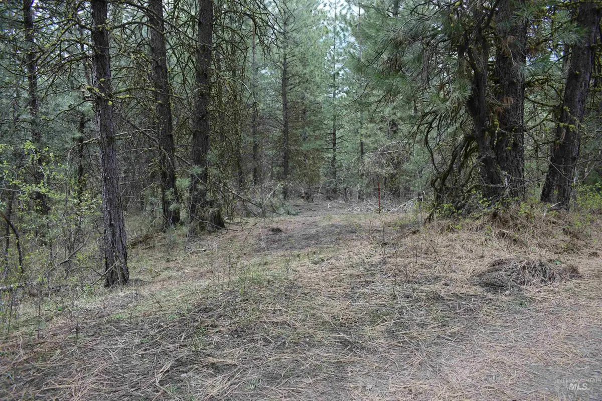 TBD Outlaw Trail, Banks, ID 83602 - #1