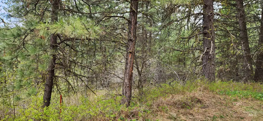 TBD Outlaw Trail, Banks, ID 83602 - #3