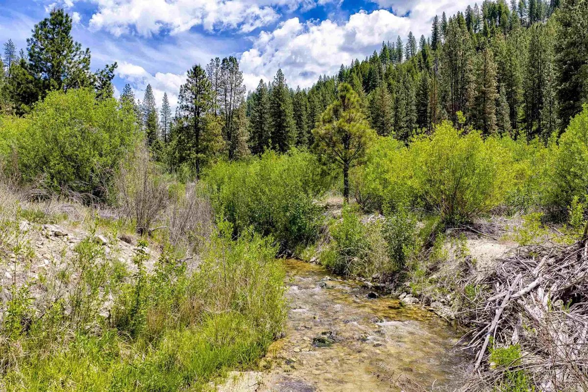 Napias Lot 4, Boise, ID 83716 - #1