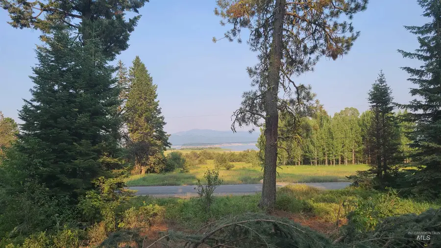 1608 Bear Trail Loop, Cascade, ID 83611 - #3