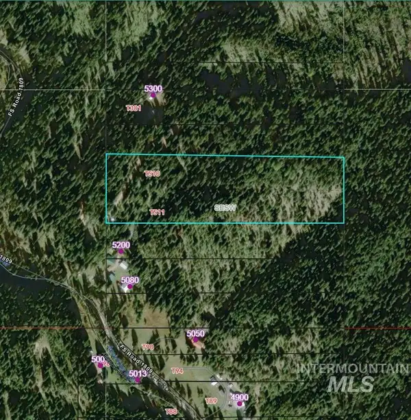 TBD American River Rd, Elk City, ID 83525