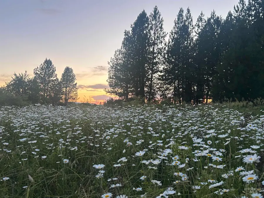 TBD Lot 2 Too Kush Road, Kooskia, ID 83539 - #3