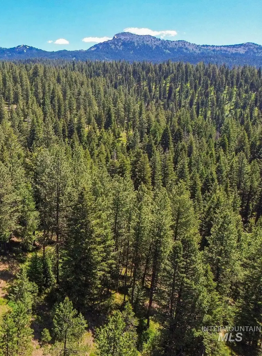 TBD Morell Road, McCall, ID 83638 - #2