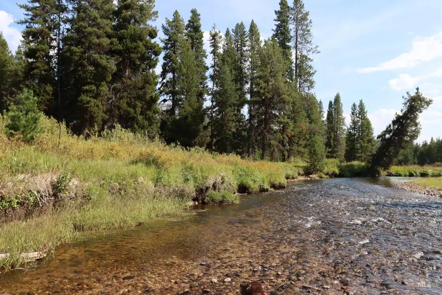 L49 Secesh River Road, McCall, ID 83638 - #3