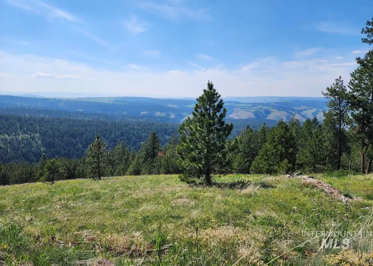Lot 91 Tbd Pilgrim Ridge Road, White Bird, ID 83554 - #1