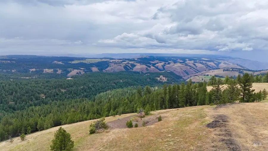 Lot 91 Tbd Pilgrim Ridge Road, White Bird, ID 83554 - #2