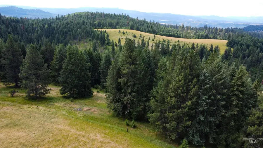 TBD Red Fir Rd, Kooskia, ID 83539 - #3