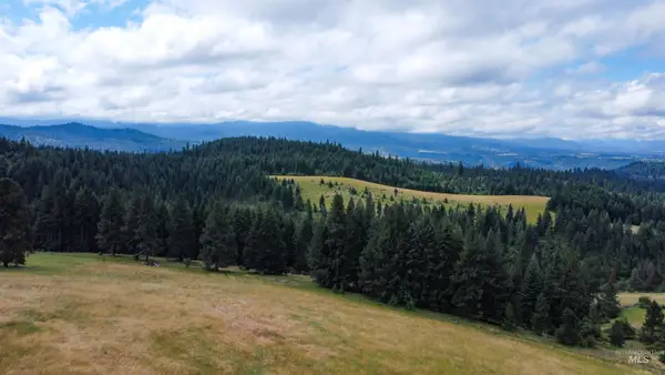 TBD Red Fir Rd, Kooskia, ID 83539