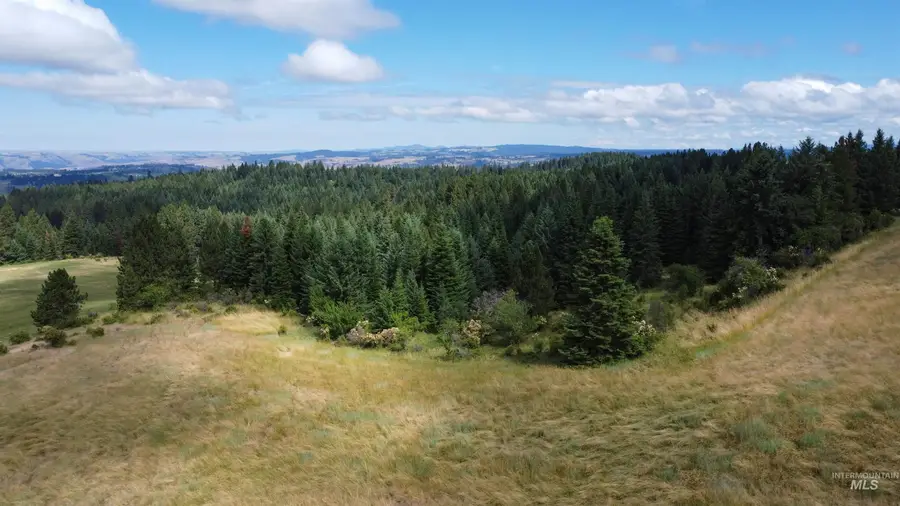 TBD Red Fir Rd, Kooskia, ID 83539 - #2