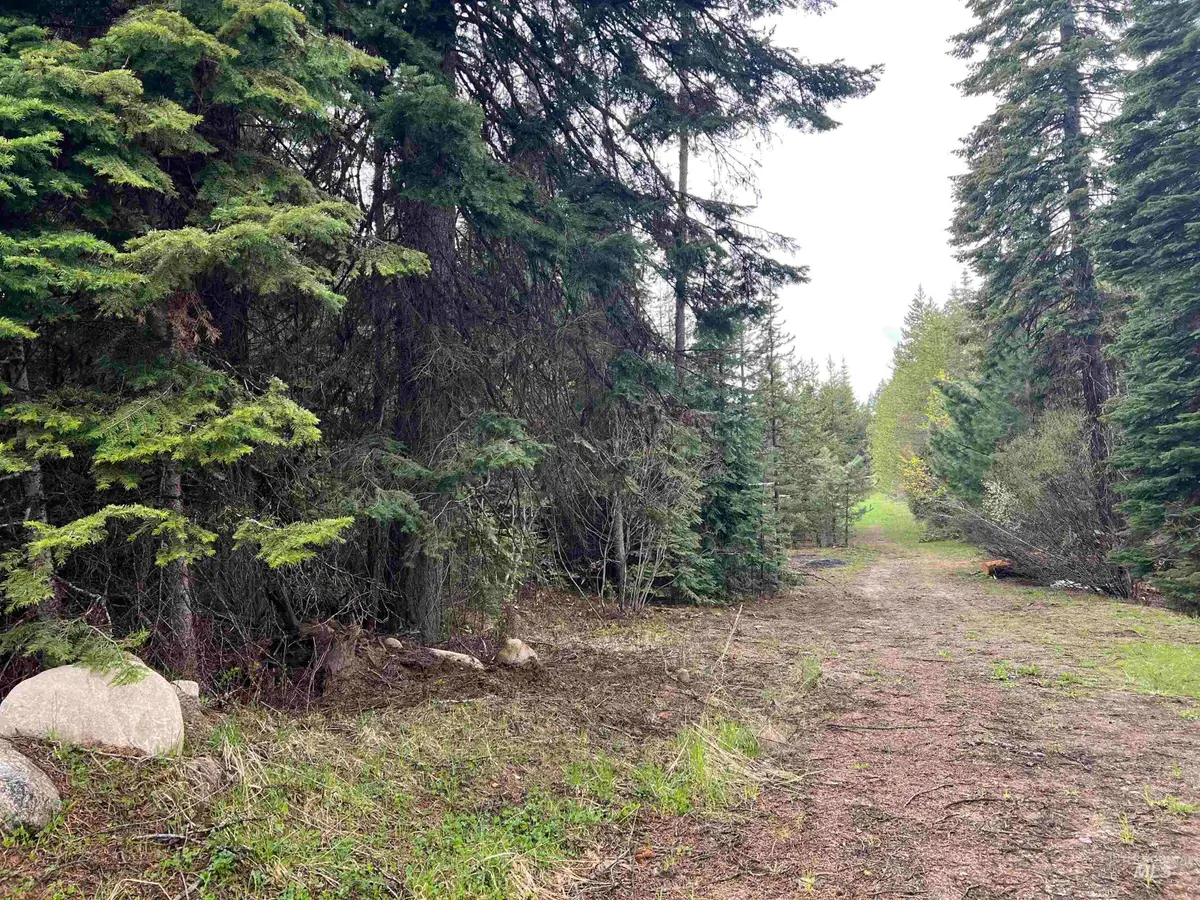 TBD Boydstun St, McCall, ID 83638 - #1