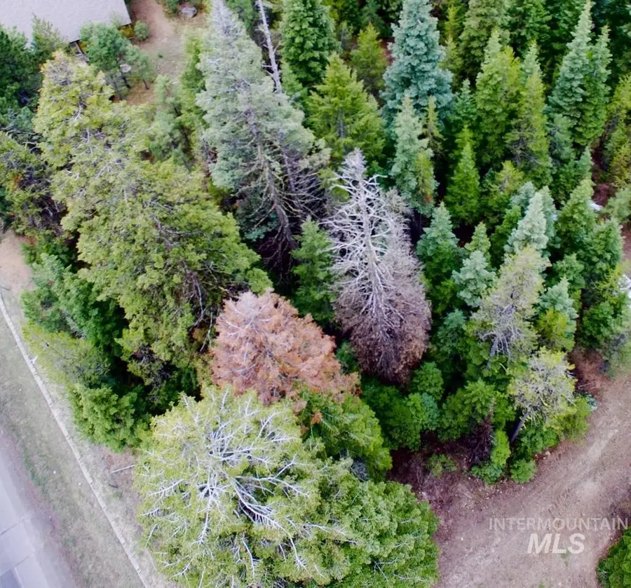 TBD Boydstun St, McCall, ID 83638 - #2