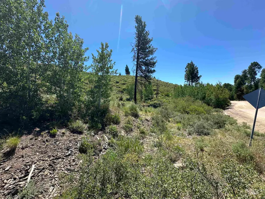 TBD Lester Creek Rd, Pine, ID 83647 - #2