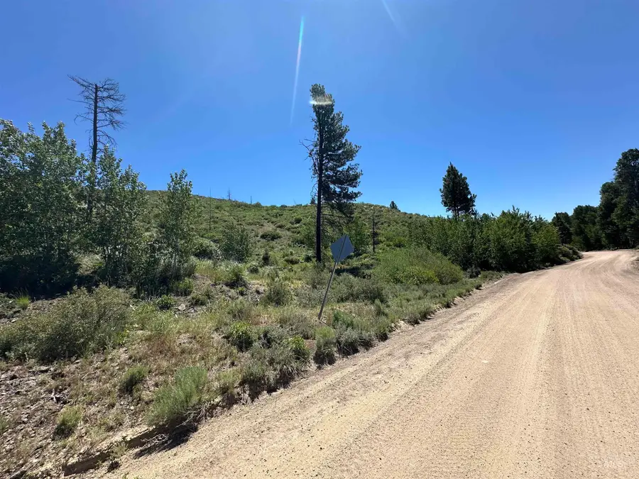 TBD Lester Creek Rd, Pine, ID 83647 - #3