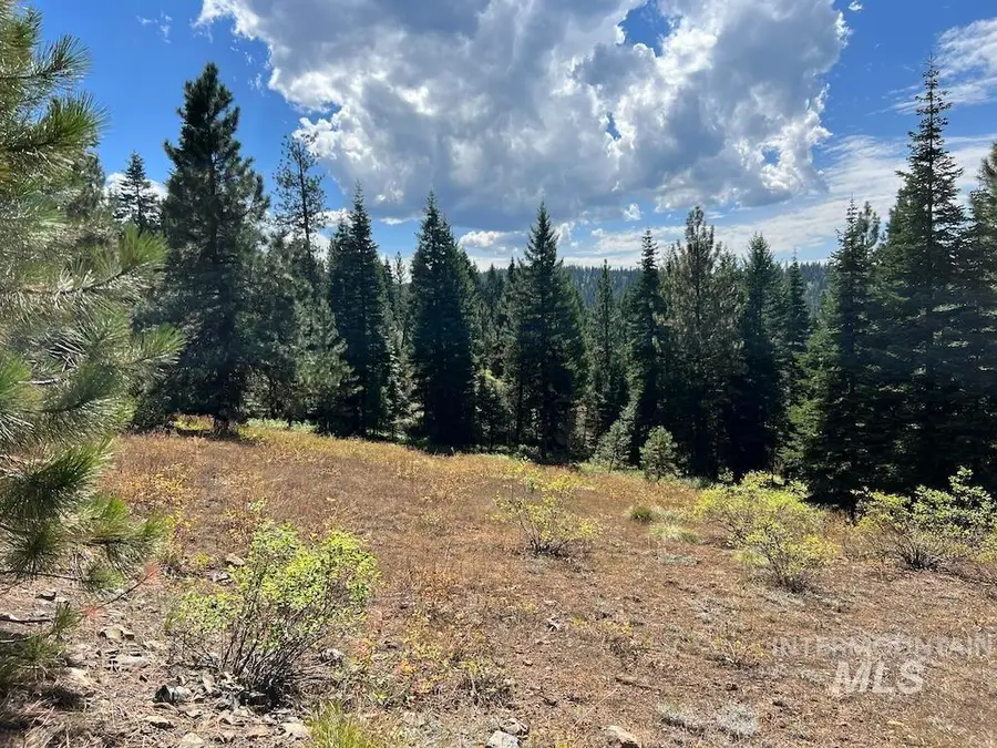 #4 Whitefield Lane, McCall, ID 83638 - #3