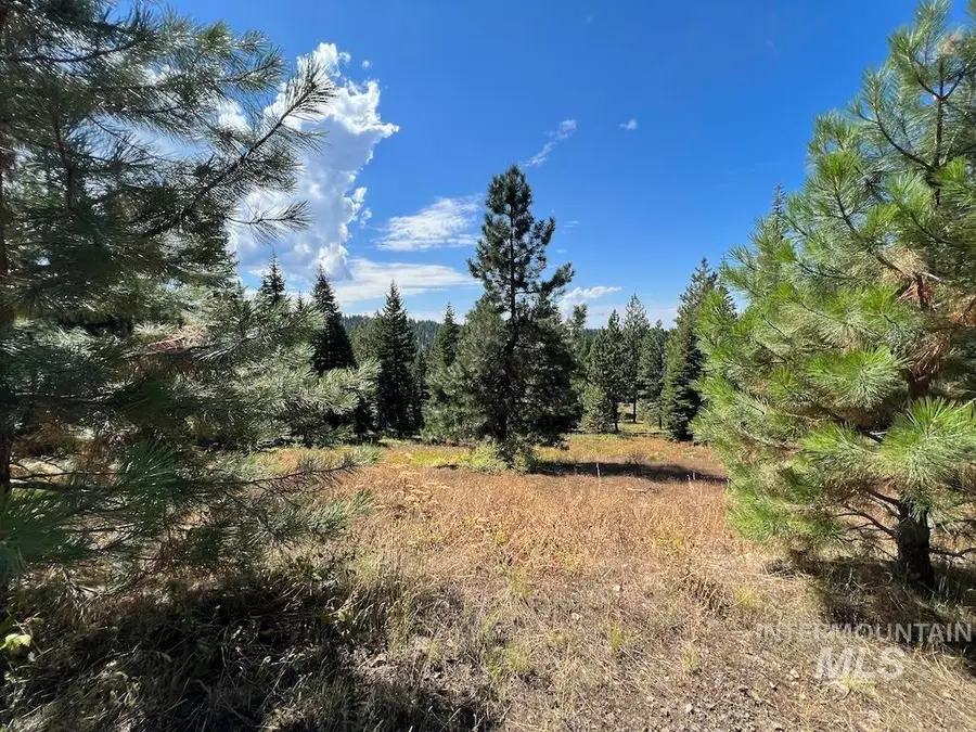 #5 Whitefield Lane, McCall, ID 83638 - #3