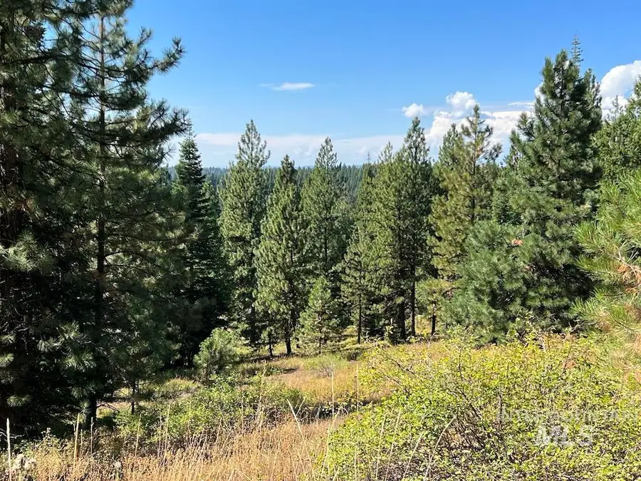 #8 Whitefield Lane, McCall, ID 83638 - #3