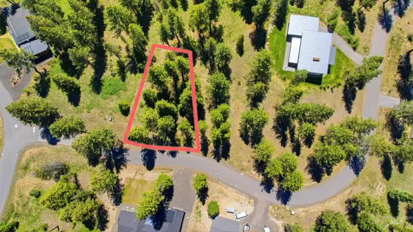 17 Vernon Court, McCall, ID 83638
