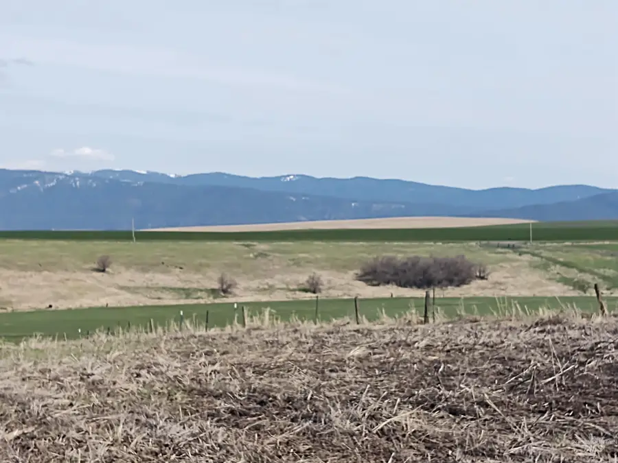 Lot 10 Angus Ranch Road, Grangeville, ID 83530 - #3