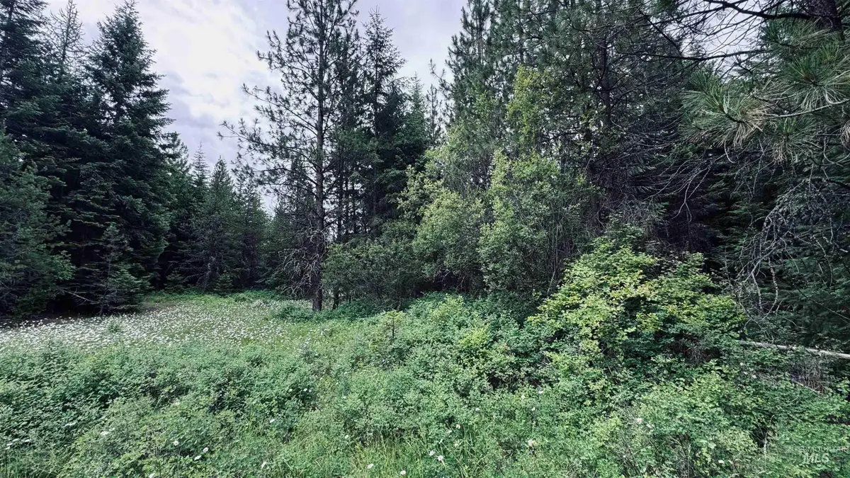58 Bugling Elk Lane, Weippe, ID 83553 - #1