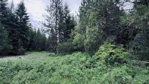 58 Bugling Elk Lane, Weippe, ID 83553