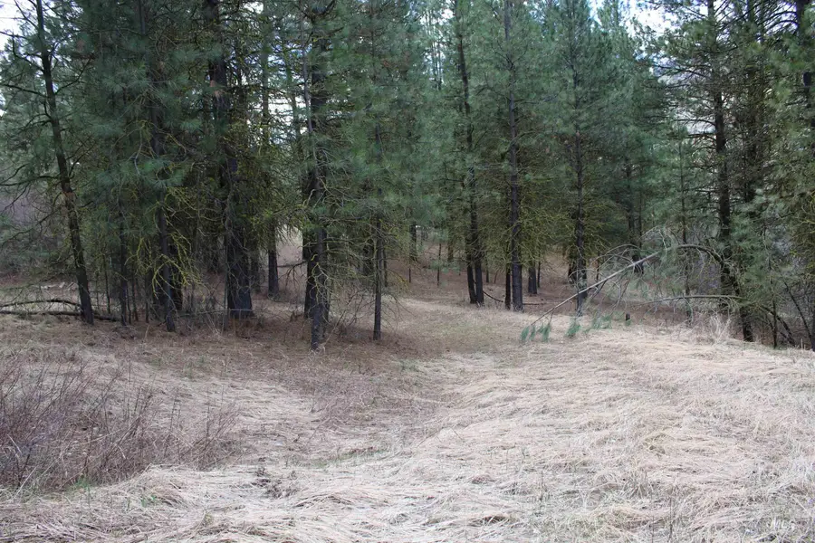 lot 19 blk 1 Creekside At Cross Timber Ranch, Garden Valley, ID 83622 - #3