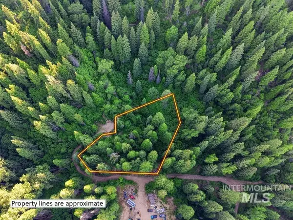 000 Cougar Drive, Cascade, ID 83611