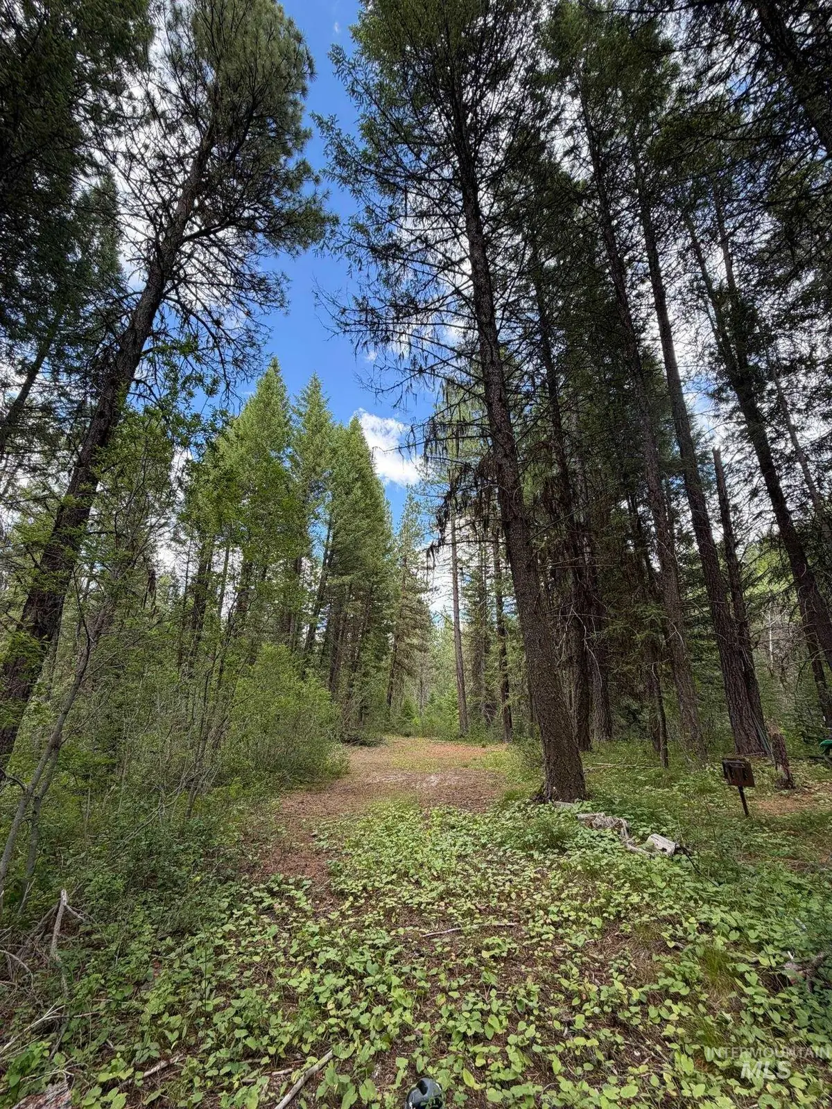 41 Blue Spruce Lane, Cascade, ID 83611 - #1