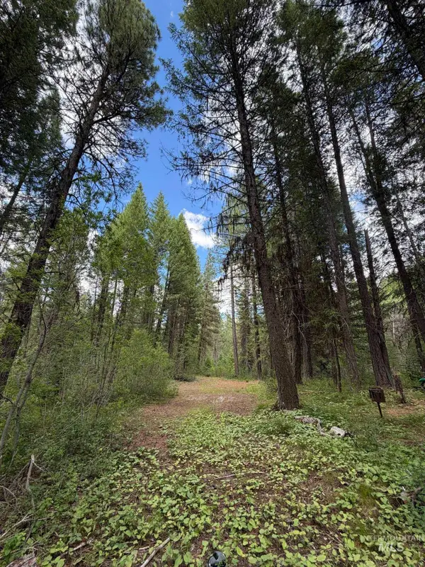 41 Blue Spruce Lane, Cascade, ID 83611