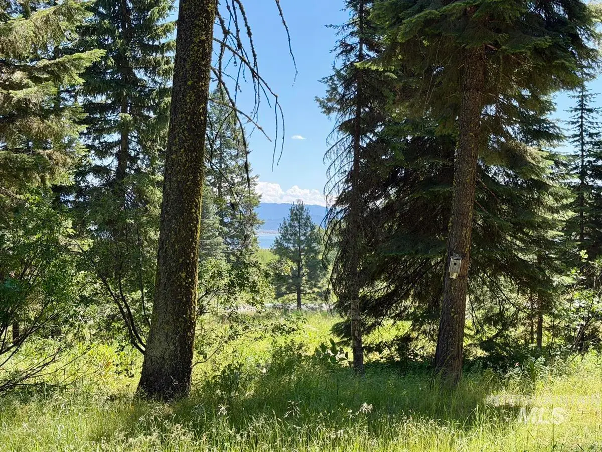 1610 Bear Trail Loop, Donnelly, ID 83615 - #1