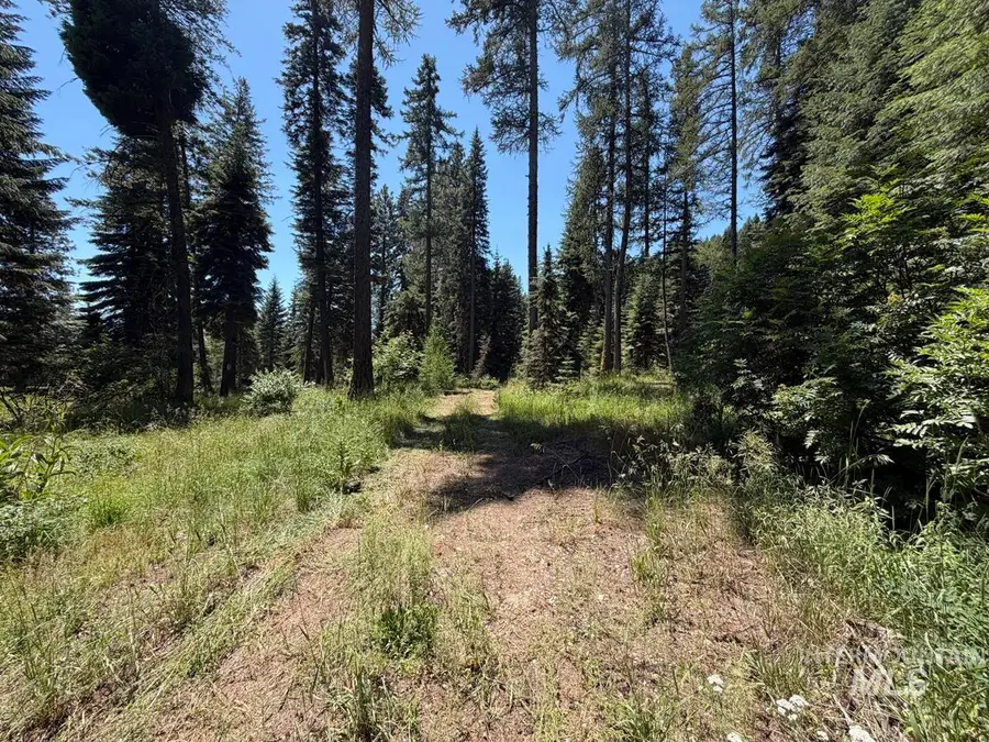 1610 Bear Trail Loop, Donnelly, ID 83615 - #2
