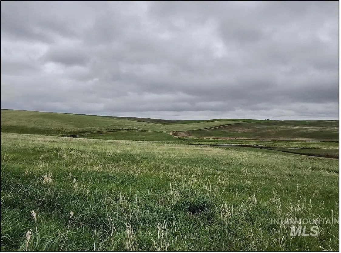 TBD Meade Road, Nezperce, ID 83543 - #1