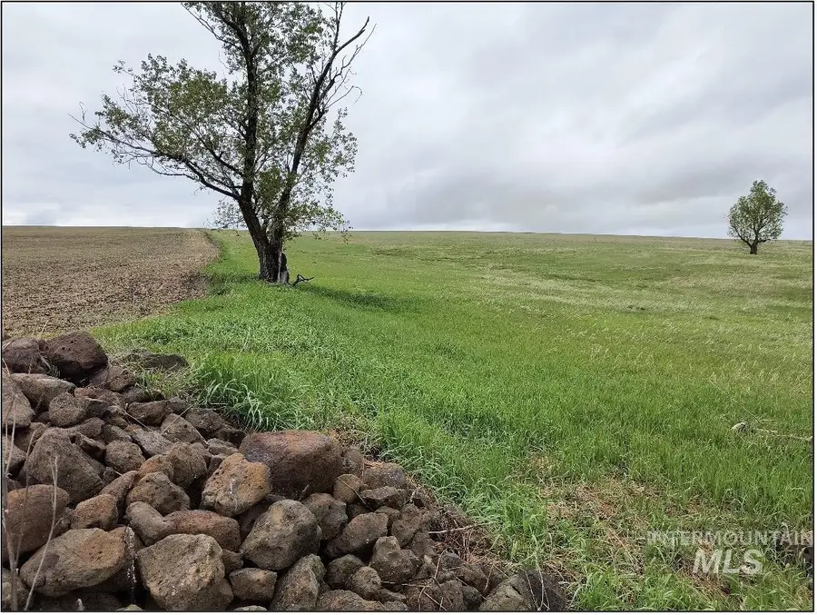 TBD Meade Road, Nezperce, ID 83543 - #3