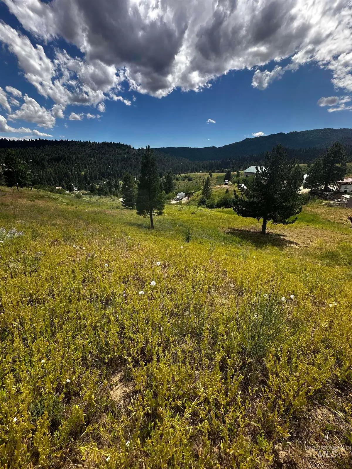 TBD Gold Fork Ridge Rd-1.03 Acres, Boise, ID 83716 - #1