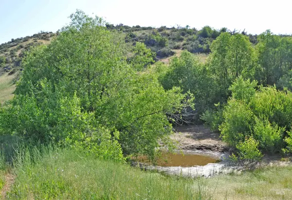 TBD Parcel A Holbrook Ln, Ola, ID 83657