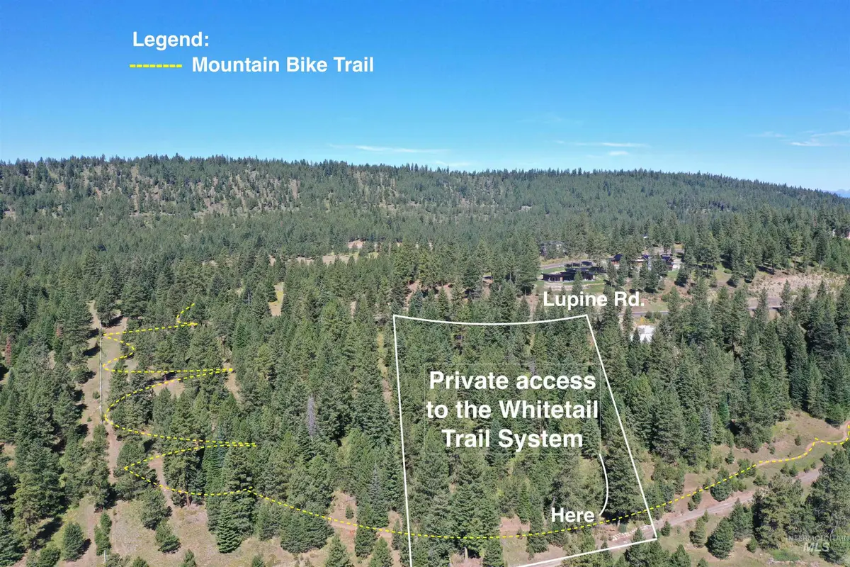 5541 Lupine Lane, McCall, ID 83638 - #1