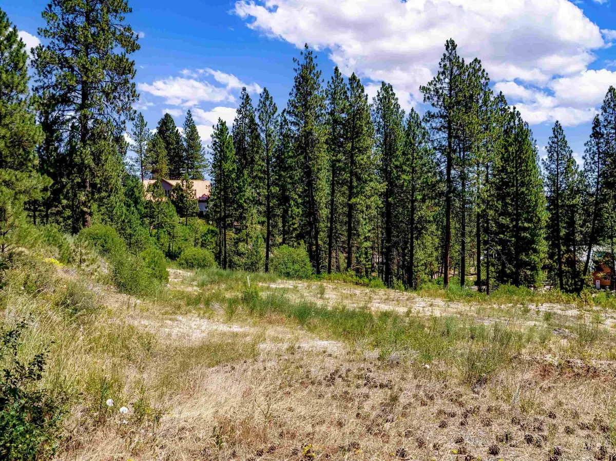 Lot 22 Bavarian Village, Idaho City, ID 83631 - #1