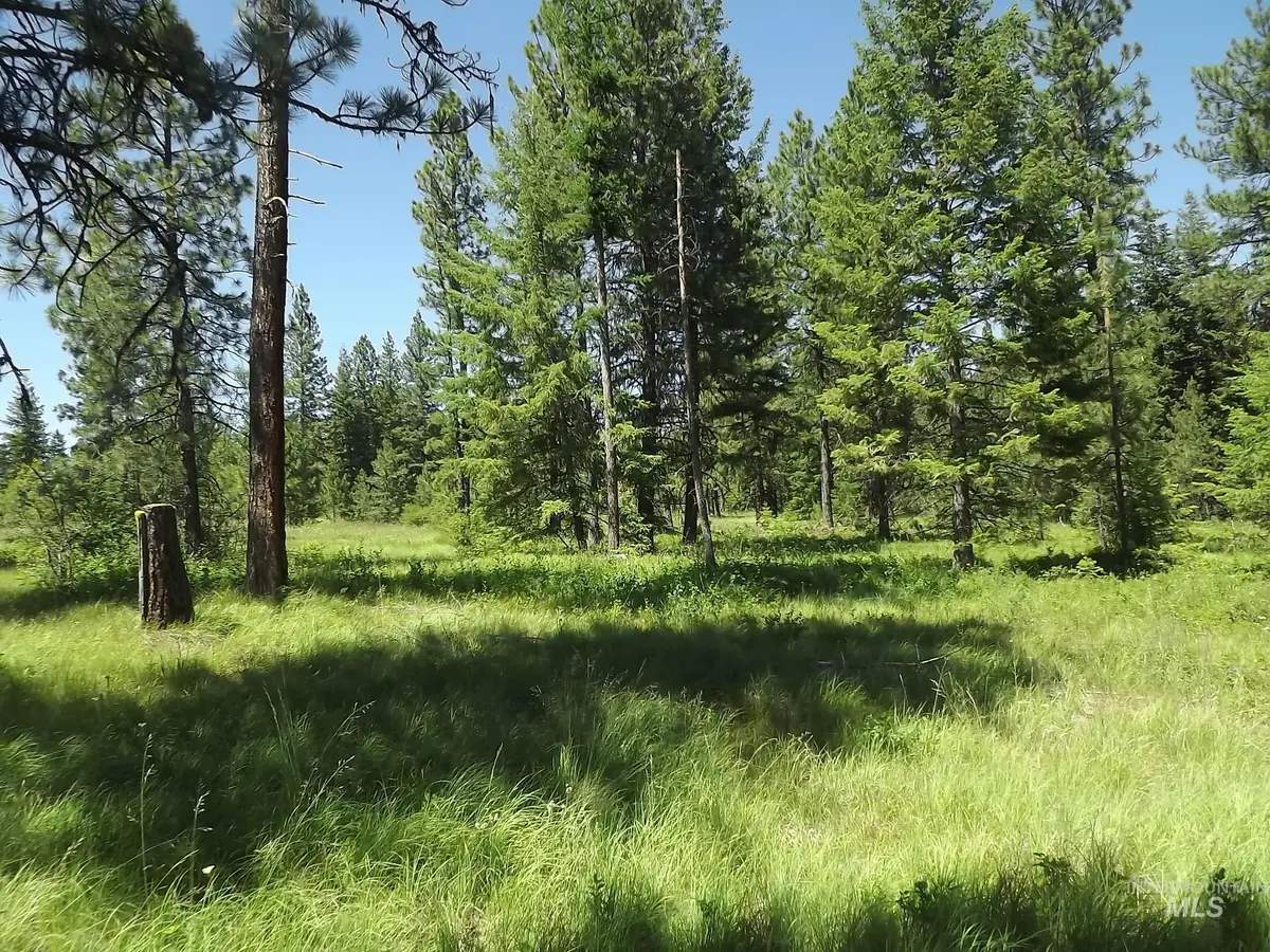 TBD (2) Kessler Mill Rd, Pomeroy, WA 99347 - #1