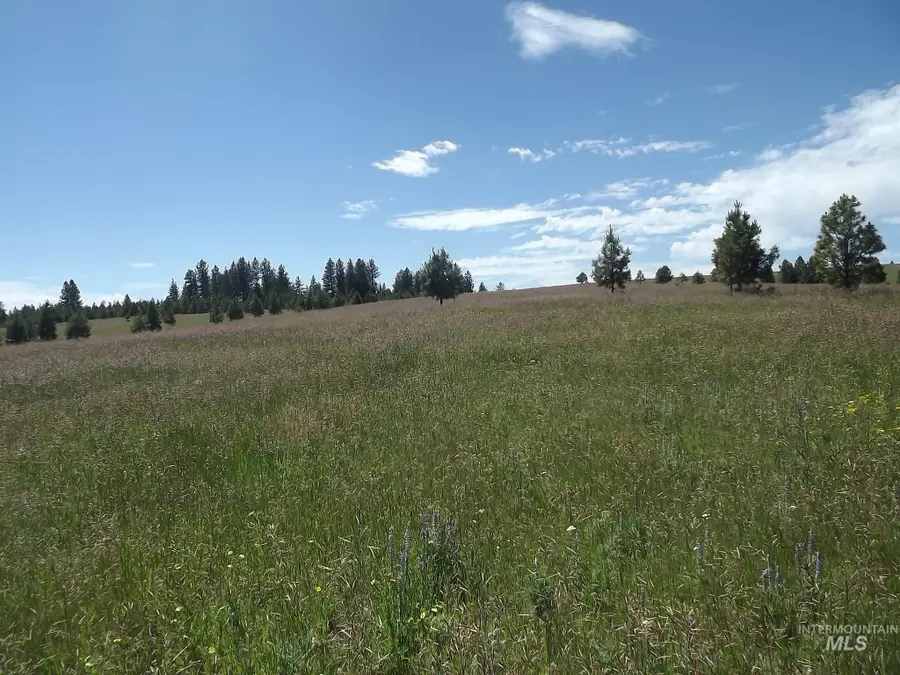 TBD (1) Kessler Mill Road, Pomeroy, WA 99347 - #3