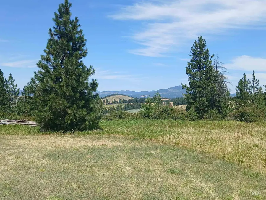 1076 Headrick Rd, Potlatch, ID 83855 - #3