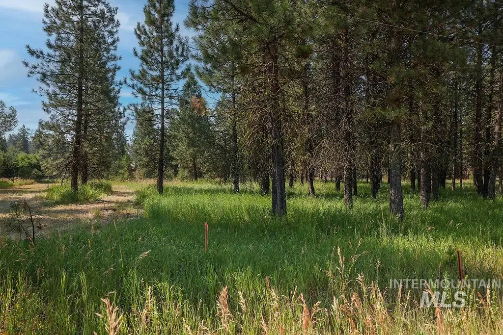 TBD Stockton Drive, McCall, ID 83638 - #1