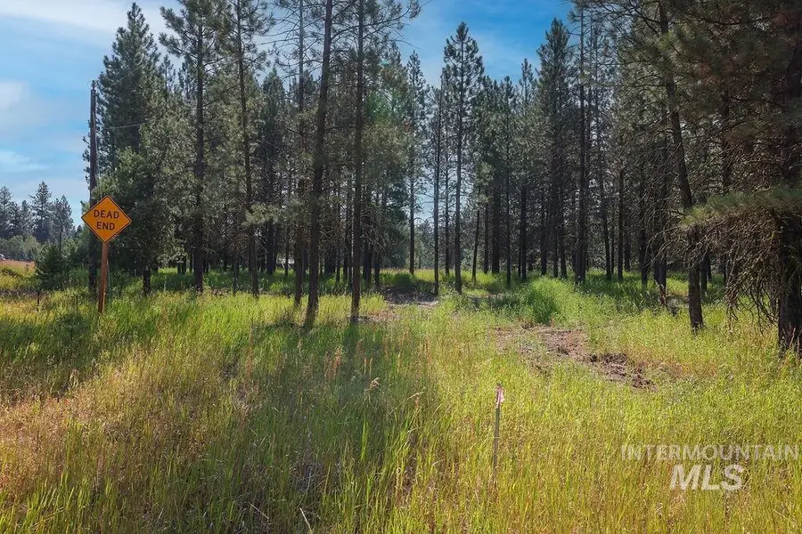 TBD Stockton Drive, McCall, ID 83638 - #2