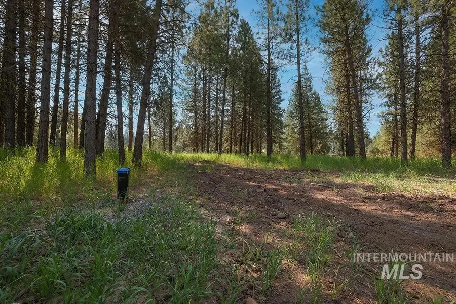 TBD Stockton Drive, McCall, ID 83638 - #3