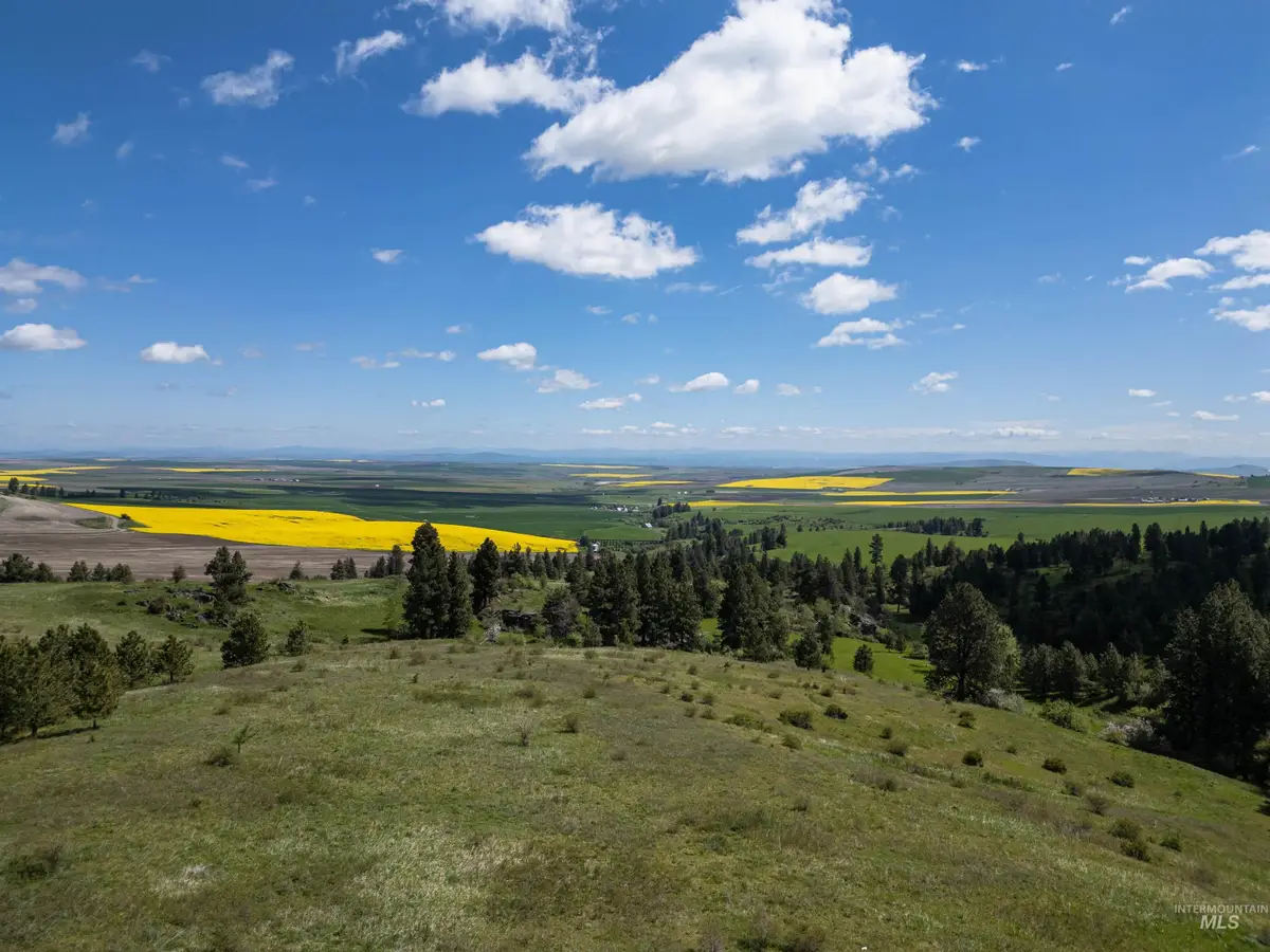 TBD Riggin Road, Ferdinand, ID 83526 - #1