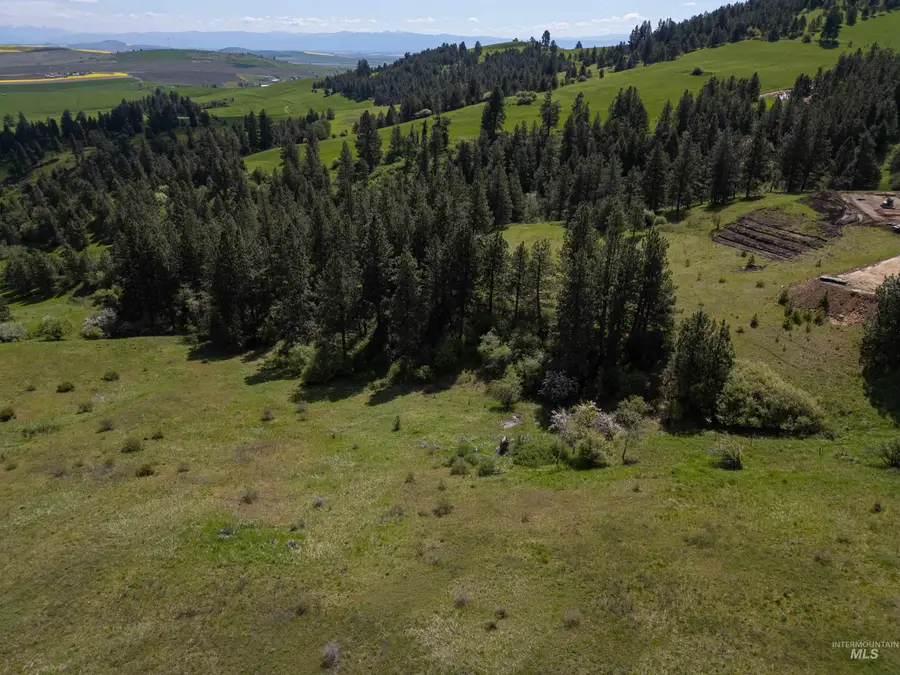 TBD Riggin Road, Ferdinand, ID 83526 - #2