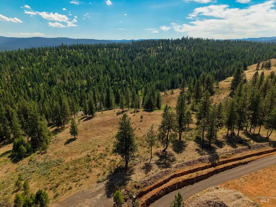 TBD Eagle Feather Road, New Meadows, ID 83654 - #3