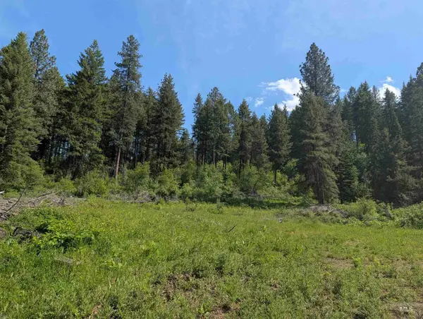 714 Mountain Top Drive (#3), Orofino, ID 83544