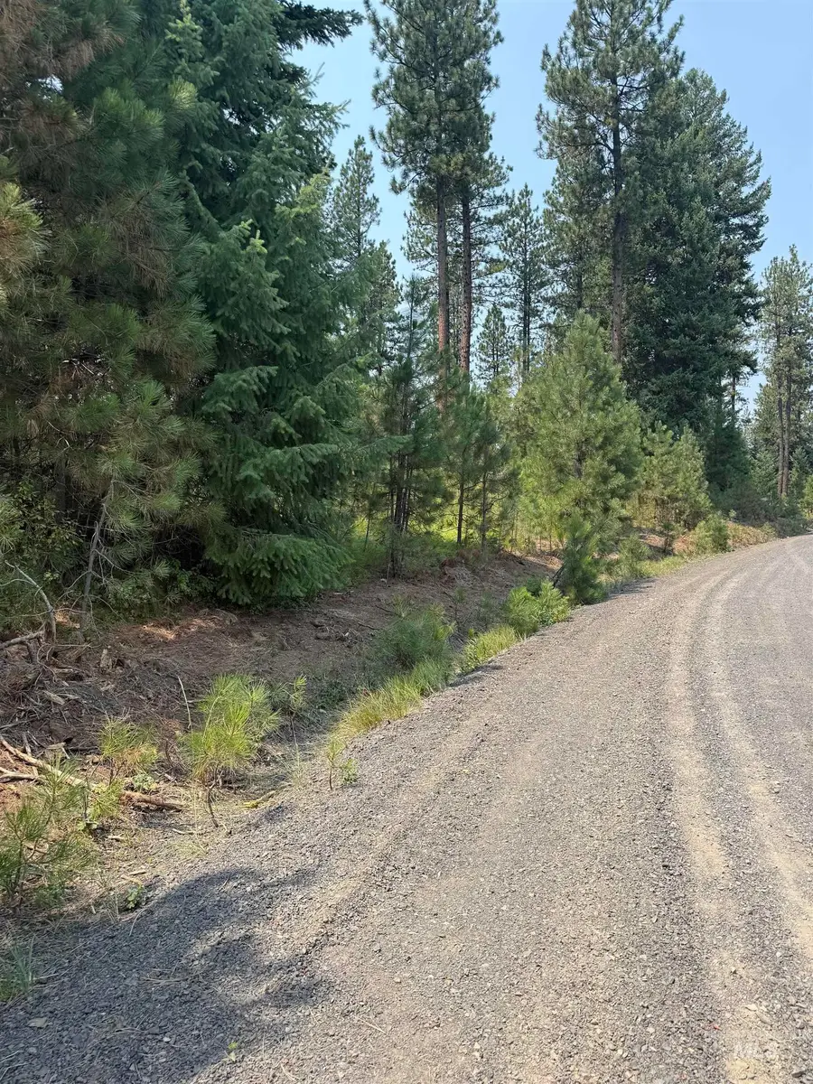 TBD West Pine Drive, New Meadows, ID 83654 - #2
