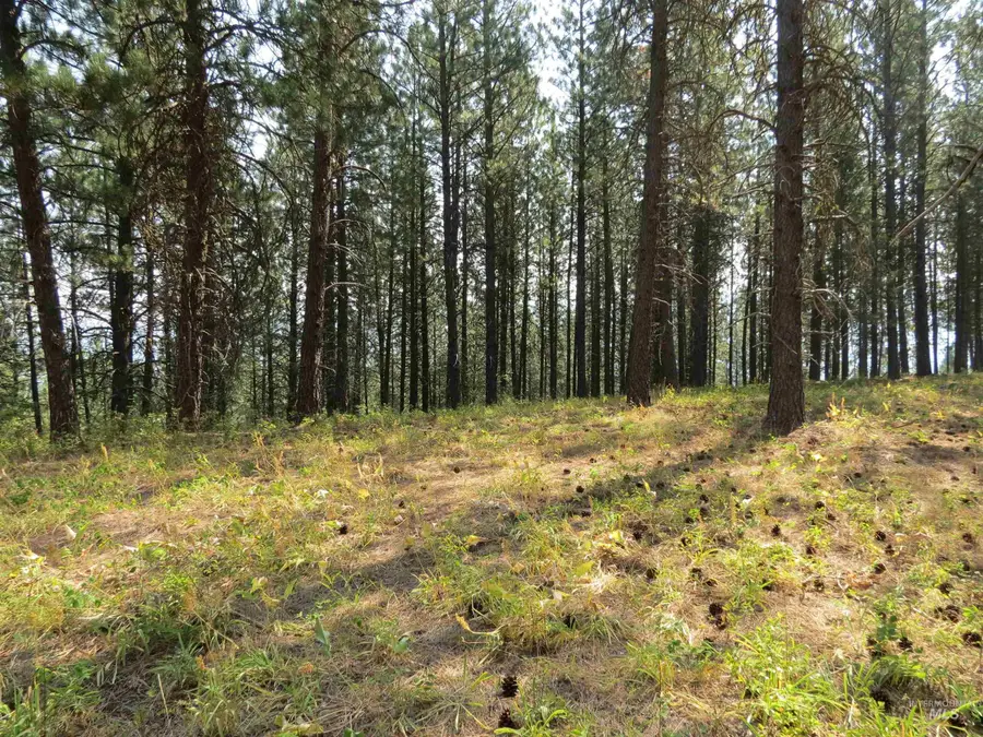 Lot 64 White Pine Dr., Garden Valley, ID 83622 - #2